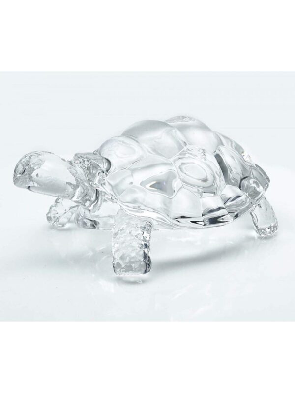 crystal tortise