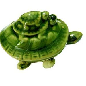 green tortoise feng shui