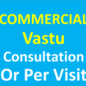 COMMERCIAL VASTU CONSULTATION