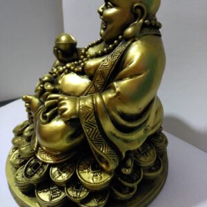 laughing buddha sitting on coins Best 2024