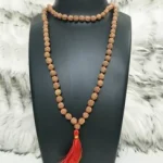 Rudraksh mala